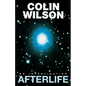 Afterlife: An Investigation - Paperback