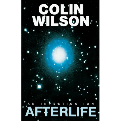 Afterlife: An Investigation - Paperback