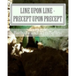 Line Upon Line - Precept Upon Precept: A Bible Study Work Book For Groups Or Individuals - Paperback