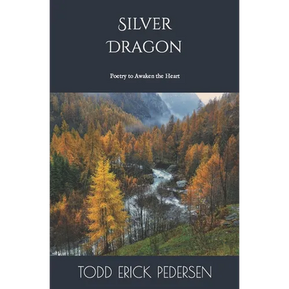 Silver Dragon - Paperback