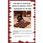 How Men Of Color Made Bricks In Marshall County Mississippi in the 1800s - Paperback