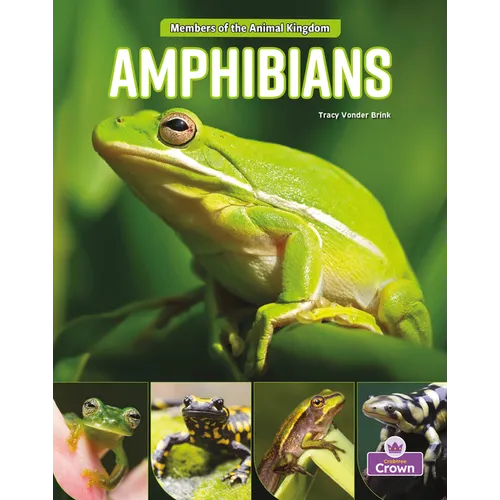 Amphibians - Paperback