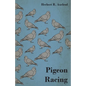 Pigeon Racing - Paperback