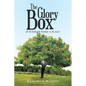 The Glory Box: If Summer Were a Place - Paperback