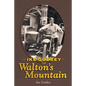 Ike Godsey of Walton's Mountain - Paperback