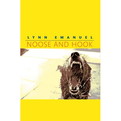 Noose and Hook - Paperback