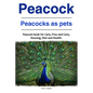 Peacock. Peacocks as pets. Peacock book for Care, Pros and Cons, Housing, Diet and Health. - Paperback