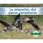 La Migración del Ganso Canadiense (Canada Goose Migration) - Library Binding