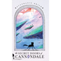 The Secret Doors of Cannondale - Hardcover