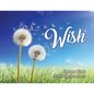 Wish - Paperback