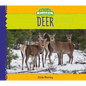 Deer - Library Binding