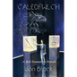 Bel Nemeton: Caledfwlch - Paperback