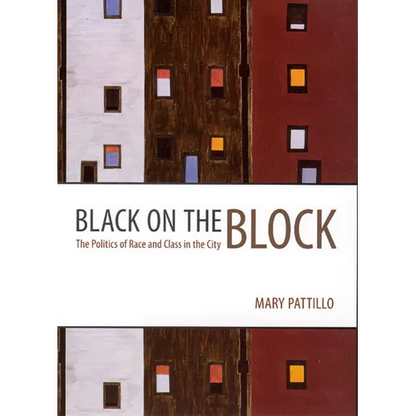 Black on the Block: The Politics of Race and Class in the City - Paperback