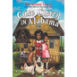 Gone Crazy in Alabama - Paperback