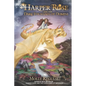 Harper Rose and the Dark Fountain of Domini - Paperback
