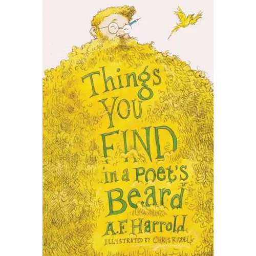 Things You Find in a Poet's Beard - Paperback