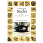 The Nature of Florida's Beaches: Including Sea Beans, Laughing Gulls and Mermaids' Purses - Paperback
