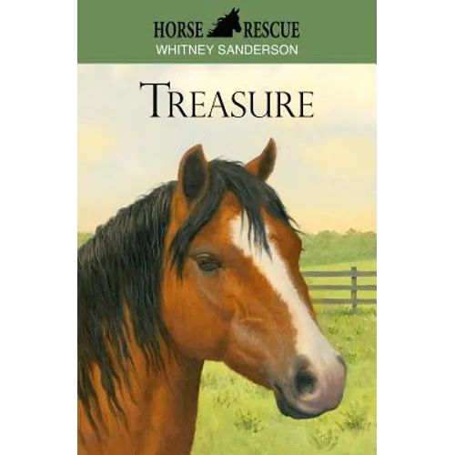 Horse Rescue: Treasure - Paperback