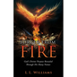 Forged from Fire: God's Divine Purpose Revealed Through His Many Names - Paperback