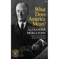 What Does America Mean? - Paperback