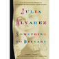Something to Declare: Essays - Paperback
