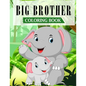 Big Brother Coloring Book: A Fun Coloring Book For Little Boys with A New & Cute Sibling (JUNGLE EDITION with Beautiful Quotes) - Paperback