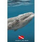 Diver's Log Book: scuba diving log book 100 dives - Paperback