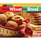 From Wheat to Bread - Paperback