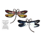 Dragonfly Inspriational Pocket Charm -