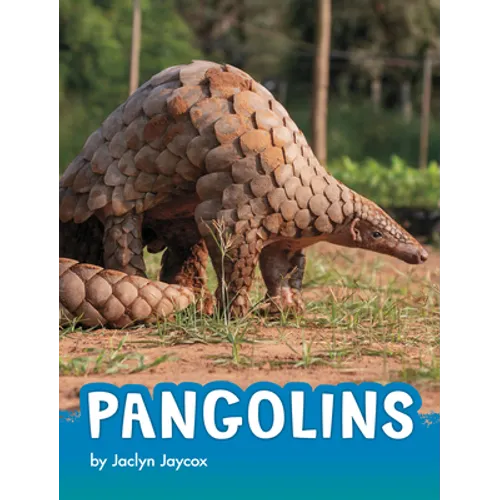 Pangolins - Hardcover