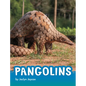 Pangolins - Hardcover