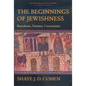 The Beginnings of Jewishness: Boundaries, Varieties, Uncertainties Volume 31 - Paperback