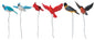 Assorted Birds - Set Of 6