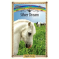 Silver Dream: Sometimes Horses Need a Little Magic - Paperback