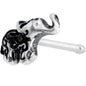 20G 1/4 Earthly Elephant Nose Bone
