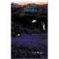 Puzzles - Paperback