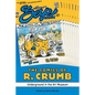 The Comics of R. Crumb: Underground in the Art Museum - Paperback