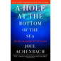 Hole at the Bottom of the Sea: The Race to Kill the BP Oil Gusher - Paperback
