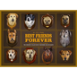Best Friends Forever: The Greatest Collection of Taxidermy Dogs on Earth - Hardcover