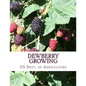 Dewberry Growing: Farmers' Bulletin 1403 - Paperback