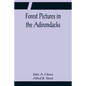 Forest Pictures in the Adirondacks - Paperback