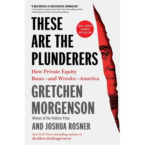 These Are the Plunderers: How Private Equity Runs -- And Wrecks -- America - Paperback