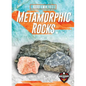 Metamorphic Rocks - Library Binding