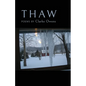 Thaw - Paperback