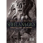 Sheela-na-gigs: Unravelling an Enigma - Paperback
