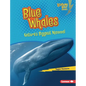 Blue Whales: Nature's Biggest Mammal - Library Binding