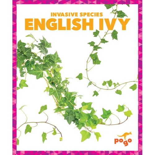 English Ivy - Paperback