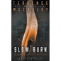 Slow Burn: A Charlie Doherty Thriller - Paperback