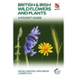 British and Irish Wild Flowers and Plants: A Pocket Guide - Paperback