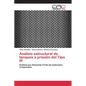 Análisis estructural de tanques a presión del Tipo III - Paperback